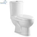 Aquacúbico Nuevo Diseño Cerámico blanco Cerámico Divil Flush One Piece WC Wat